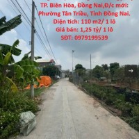 Chính Chủ Cần Bán GẤP 2 Lô Đất  Hẻm 847 Đường Đồng Khởi, Phường Tân Phong( cũ ) TP. Biên Hòa, Đồng Nai