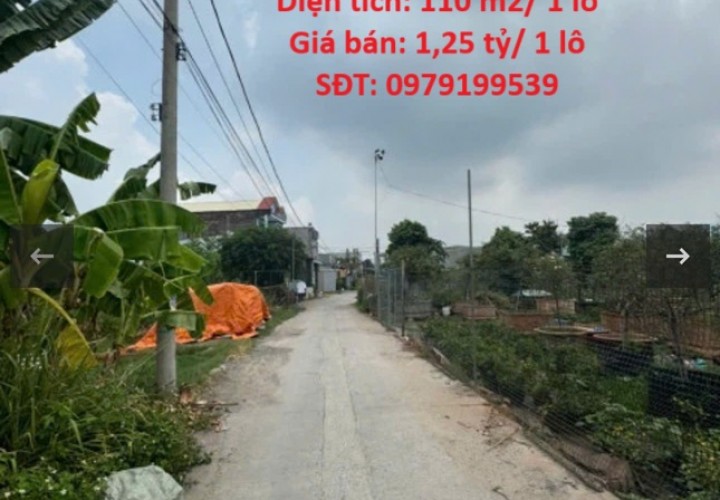 Chính Chủ Cần Bán GẤP 2 Lô Đất  Hẻm 847 Đường Đồng Khởi, Phường Tân Phong( cũ ) TP. Biên Hòa, Đồng Nai