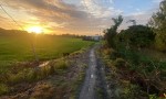 ĐẤT ĐẸP - GIÁ TỐT - Cần Bán Lô Đất Vị Trí Tại Thị trấn Phú Hoà, Thoại Sơn, An Giang