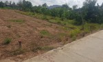 ĐẤT ĐẸP - GIÁ TỐT - Chính Chủ Cần Bán Nhanh Lô Đất Đẹp Tại Tân Phú Đông, Tiền Giang