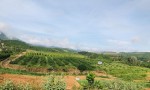 CHÍNH CHỦ CẦN BÁN LÔ ĐẤT Đẹp - GIÁ ĐẦU TƯ Tại xã Đạ Rsal, huyện Đam Rông, tỉnh Lâm Đồng