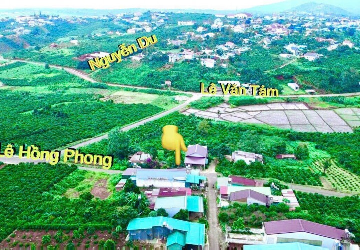 Sở Hữu LÔ ĐẤT Thổ Cư - Chính Chủ - Vị Trí Đẹp - GIÁ ĐẦU TƯ Tại Di Linh - Lâm Đồng