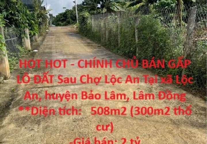 HOT HOT - CHÍNH CHỦ BÁN GẤP  LÔ ĐẤT Sau Chợ Lộc An Tại xã Lộc An, huyện Bảo Lâm, Lâm Đồng