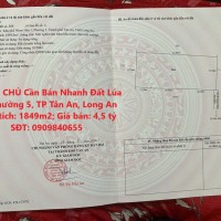 CHÍNH CHỦ Cần Bán Nhanh Đất Lúa Tại Phường 5, TP Tân An, Long An