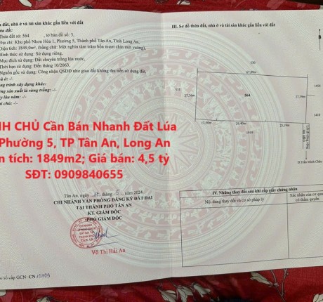 CHÍNH CHỦ Cần Bán Nhanh Đất Lúa Tại Phường 5, TP Tân An, Long An