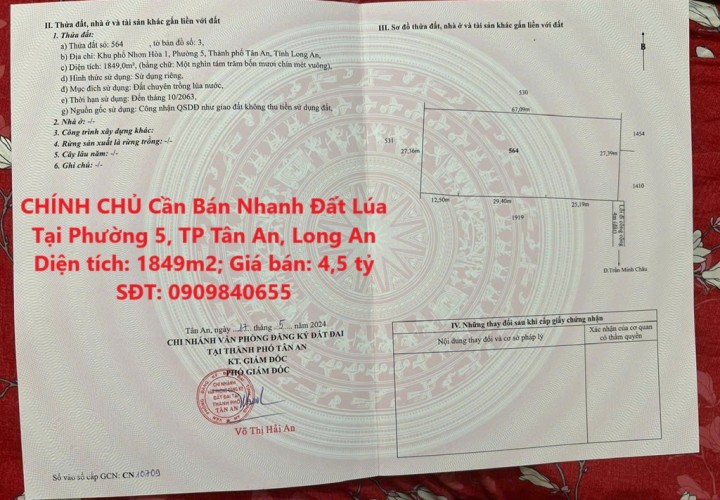 CHÍNH CHỦ Cần Bán Nhanh Đất Lúa Tại Phường 5, TP Tân An, Long An