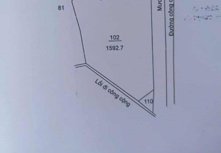 ĐẤT CHÍNH CHỦ - GIÁ TỐT - Cần Bán Nhanh Lô Đất Vị Trí Đẹp Ấp 5, Xã Mỹ Yên, Bến Lức, Long An