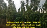 ĐẤT ĐẸP- GIÁ TỐT - CHÍNH CHỦ CẦN BÁN Lô Đất  tại  xã Trường Xuân, huyện Đắk Song, tỉnh Đắk Nông