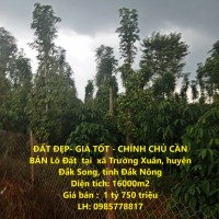 ĐẤT ĐẸP- GIÁ TỐT - CHÍNH CHỦ CẦN BÁN Lô Đất  tại  xã Trường Xuân, huyện Đắk Song, tỉnh Đắk Nông