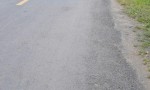 ĐẤT ĐẸP - MẶT TIỀN - Bán GẤP Lô Đất Tiềm Năng Tại Xã Bình Nghị, Gò Công Đông, Tiền Giang