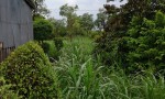 ĐẤT ĐẸP - MẶT TIỀN - Bán GẤP Lô Đất Tiềm Năng Tại Xã Bình Nghị, Gò Công Đông, Tiền Giang