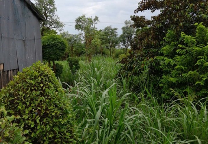 ĐẤT ĐẸP - MẶT TIỀN - Bán GẤP Lô Đất Tiềm Năng Tại Xã Bình Nghị, Gò Công Đông, Tiền Giang