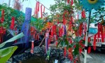 NHÀ ĐẸP - GIÁ TỐT - CHÍNH CHỦ CẦN BÁN KHU NGHỈ DƯỠNG Tại Ấp 1, Xã Thạnh Hòa, Huyện Bến Lức, Long An.