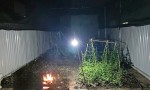 ĐẤT ĐẸP - GIÁ TỐT BÁN đất Phường Tân Tạo, Q. Bình Tân (Sau chùa Long Thạnh, 5 x 17m, đường nhựa 6m)