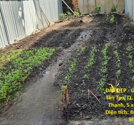 ĐẤT ĐẸP - GIÁ TỐT BÁN đất Phường Tân Tạo, Q. Bình Tân (Sau chùa Long Thạnh, 5 x 17m, đường nhựa 6m)