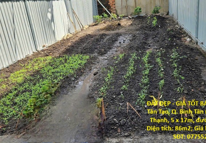 ĐẤT ĐẸP - GIÁ TỐT BÁN đất Phường Tân Tạo, Q. Bình Tân (Sau chùa Long Thạnh, 5 x 17m, đường nhựa 6m)
