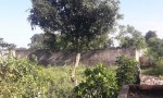 GẤP GẤP  –CHÍNH CHỦ CẦN BÁN LÔ ĐẤT VỊ TRÍ  tại  xã Hoằng Đạo, huyện Hoằng Hóa, tỉnh Thanh Hóa
