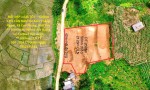 ĐẤT ĐẸP – GIÁ TỐT  – CHÍNH CHỦ CẦN BÁN TẠI Xóm Chằng Ngoài, Xã Cao Phong, Phú Thọ