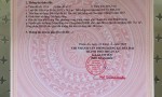 ĐẤT ĐẸP - GIÁ TỐT - CHÍNH CHỦ Cần Bán Nhanh Lô Đất Hưng Thọ, Hưng Định, Thuận An, Bình Dương