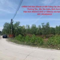 CHÍNH CHỦ Bán Nhanh Lô Đất Trồng Cây Lâu Năm Tại Thường Tân,  Bắc Tân Uyên, Bình Dương