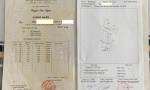 CHÍNH CHỦ Bán Nhanh Lô Đất Trồng Cây Lâu Năm Tại Thường Tân,  Bắc Tân Uyên, Bình Dương