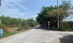 CHÍNH CHỦ Bán Nhanh Lô Đất Trồng Cây Lâu Năm Tại Thường Tân,  Bắc Tân Uyên, Bình Dương