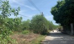 CHÍNH CHỦ Bán Nhanh Lô Đất Trồng Cây Lâu Năm Tại Thường Tân,  Bắc Tân Uyên, Bình Dương