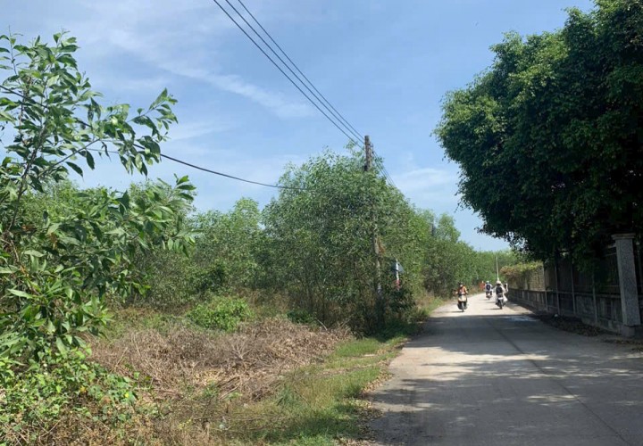 CHÍNH CHỦ Bán Nhanh Lô Đất Trồng Cây Lâu Năm Tại Thường Tân,  Bắc Tân Uyên, Bình Dương
