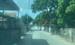 ĐẤT ĐẸP – GIÁ TỐT  – CHÍNH CHỦ CẦN BÁN  tại thôn Đan Tràng, Xã Hồng Quang, Huyện Ân Thi, Hưng Yên