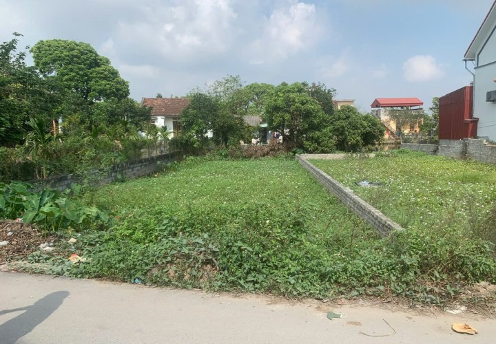 ĐẤT ĐẸP – GIÁ TỐT  – CHÍNH CHỦ CẦN BÁN  tại thôn Đan Tràng, Xã Hồng Quang, Huyện Ân Thi, Hưng Yên