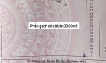 CHÍNH CHỦ Cần Bán Gấp Đất Tại  Tổ 7, Ấp 1, Xã Phú Thịnh, Huyện Tân Phú, Đồng Nai.