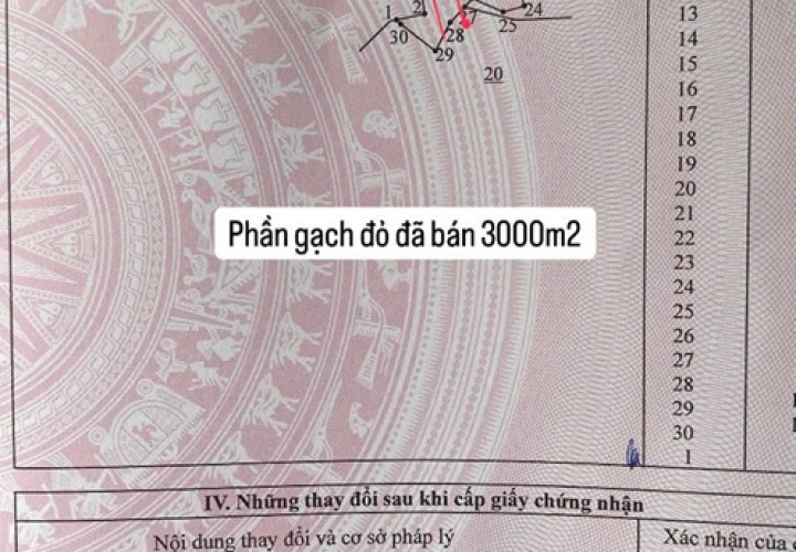 CHÍNH CHỦ Cần Bán Gấp Đất Tại  Tổ 7, Ấp 1, Xã Phú Thịnh, Huyện Tân Phú, Đồng Nai.