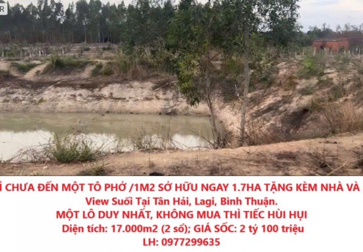 CHỈ CHƯA ĐẾN MỘT TÔ PHỞ /1M2 SỞ HỮU NGAY 1.7HA TẶNG KÈM NHÀ VÀ HỒ View Suối Tại Tân Hải,