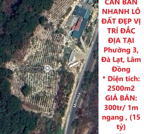 CHÍNH CHỦ CẦN BÁN NHANH LÔ ĐẤT ĐẸP VỊ TRÍ ĐẮC ĐỊA TẠI Phường 3, Đà Lạt, Lâm Đồng