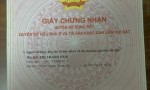 VỊ TRÍ ĐẸP - GIÁ TỐT - CHÍNH CHỦ Cần Bán Gấp Căn Nhà vị trí đẹp tại phường 10, quận Gò Vấp, TPHCM