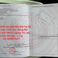 CHÍNH CHỦ Cần Bán Gấp Đất Tại Xã Bình Hoà, Vĩnh Cửu, Đồng Nai