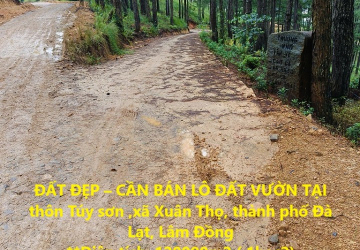 ĐẤT ĐẸP – CẦN BÁN LÔ ĐẤT VƯỜN TẠI  thôn Túy sơn ,xã Xuân Thọ, thành phố Đà Lạt, Lâm Đồng