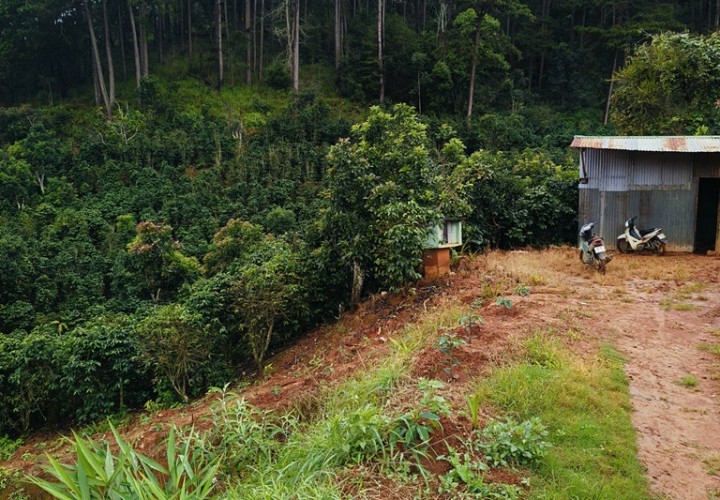 ĐẤT ĐẸP – CẦN BÁN LÔ ĐẤT VƯỜN TẠI  thôn Túy sơn ,xã Xuân Thọ, thành phố Đà Lạt, Lâm Đồng