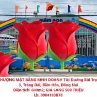 CẦN SANG NHƯỢNG MẶT BẰNG KINH DOANH TẠI Đường Bùi Trọng Nghĩa, KP 3, Trảng Dài, Biên Hòa, Đồng Nai