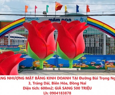 CẦN SANG NHƯỢNG MẶT BẰNG KINH DOANH TẠI Đường Bùi Trọng Nghĩa, KP 3, Trảng Dài, Biên Hòa, Đồng Nai