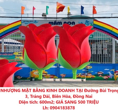 CẦN SANG NHƯỢNG MẶT BẰNG KINH DOANH TẠI Đường Bùi Trọng Nghĩa, KP 3, Trảng Dài, Biên Hòa, Đồng Nai