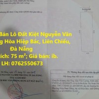 Chính Chủ Bán Lô Đất Kiệt Nguyễn Văn Cừ, Phường Hòa Hiệp Bắc, Liên Chiểu, Đà Nẵng