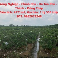 Đất Nông Nghiệp - Chính Chủ - Xã Tân Phú - Châu Thành - Đồng Tháp