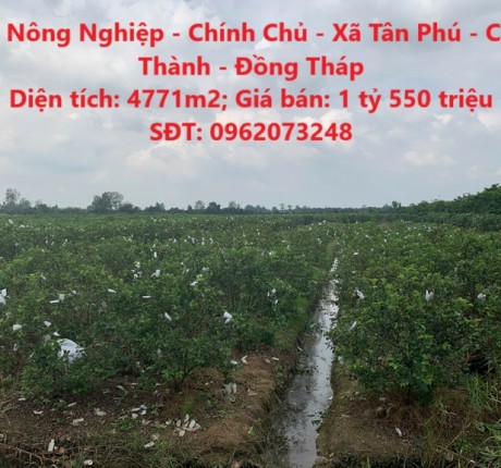 Đất Nông Nghiệp - Chính Chủ - Xã Tân Phú - Châu Thành - Đồng Tháp