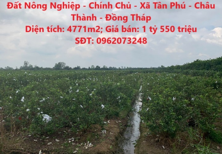 Đất Nông Nghiệp - Chính Chủ - Xã Tân Phú - Châu Thành - Đồng Tháp