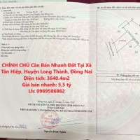 CHÍNH CHỦ Cần Bán Nhanh Đất Tại Xã Tân Hiệp, Huyện Long Thành, Đồng Nai