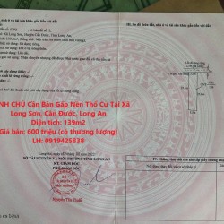 CHÍNH CHỦ Cần Bán Gấp Nền Thổ Cư Tại Xã Long Sơn, Cần Đước, Long An
