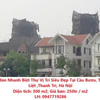 Cần Bán Nhanh Biệt Thự Vị Trí Siêu Đẹp Tại Cầu Bươu, Thanh Liệt ,Thanh Trì, Hà Nội