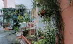 GIÁ TỐT - CHÍNH CHỦ Cần Bán Nhanh Căn Nhà  Đẹp Vị Trí Tại Quận Bình Thạnh, TP HCM
