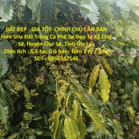 ĐẤT ĐẸP - GIÁ TỐT- CHÍNH CHỦ CẦN BÁN Hơn 5Ha Đất Trồng Cà Phê Tơ Đẹp Tại Xã Chư Sê, Gia Lai.